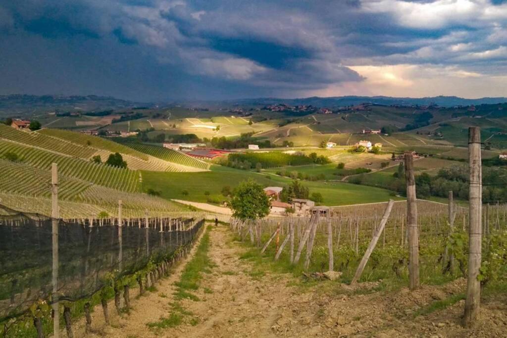 Ex Ostu Impero: Vino, Tartufo Ed Ospitalita Apartment La Morra Ngoại thất bức ảnh
